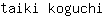 t***i