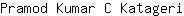 P***i
