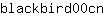 b***n