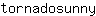 t***y