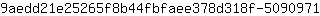 9***1