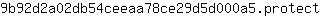 9***t