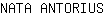 N***S
