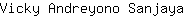 V***a