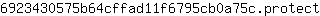 6***t