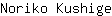 N***e