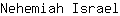 N***l