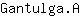 G***A