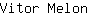 V***n