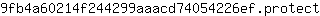 9***t