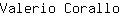 V***o