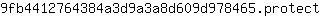 9***t
