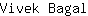 V***l