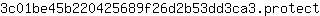 3***t