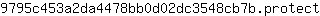 9***t