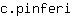 c***i