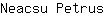 N***s