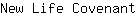 N***t