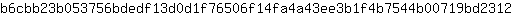 b***2