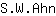S***n