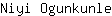 N***e