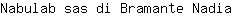 N***a
