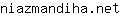 n***t