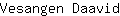 V***d