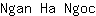N***c