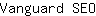 V***O