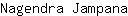 N***a