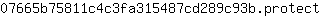 0***t