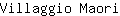 V***i