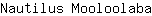 N***a