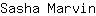 S***n
