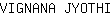 V***I