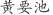 黄***池