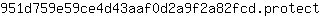 9***t