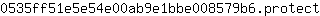 0***t