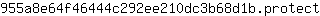 9***t