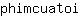 p***i