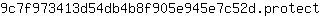 9***t