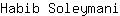 H***i