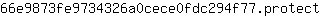 6***t