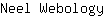 N***y