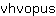 v***s