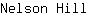 N***l