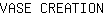 V***N