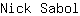 N***l