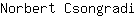 N***i
